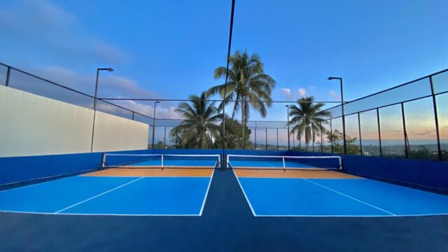 SKYDINK PICKLEBALL COURT